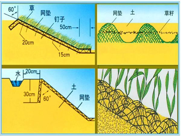 三维植被网